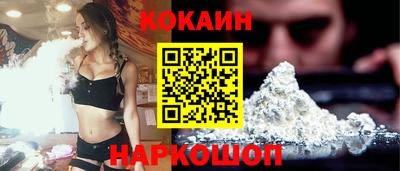 гашик Шелехов