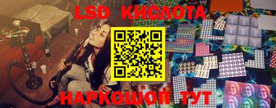 гашик Шелехов