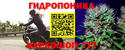 гашик Шелехов