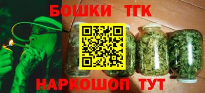 гашик Шелехов