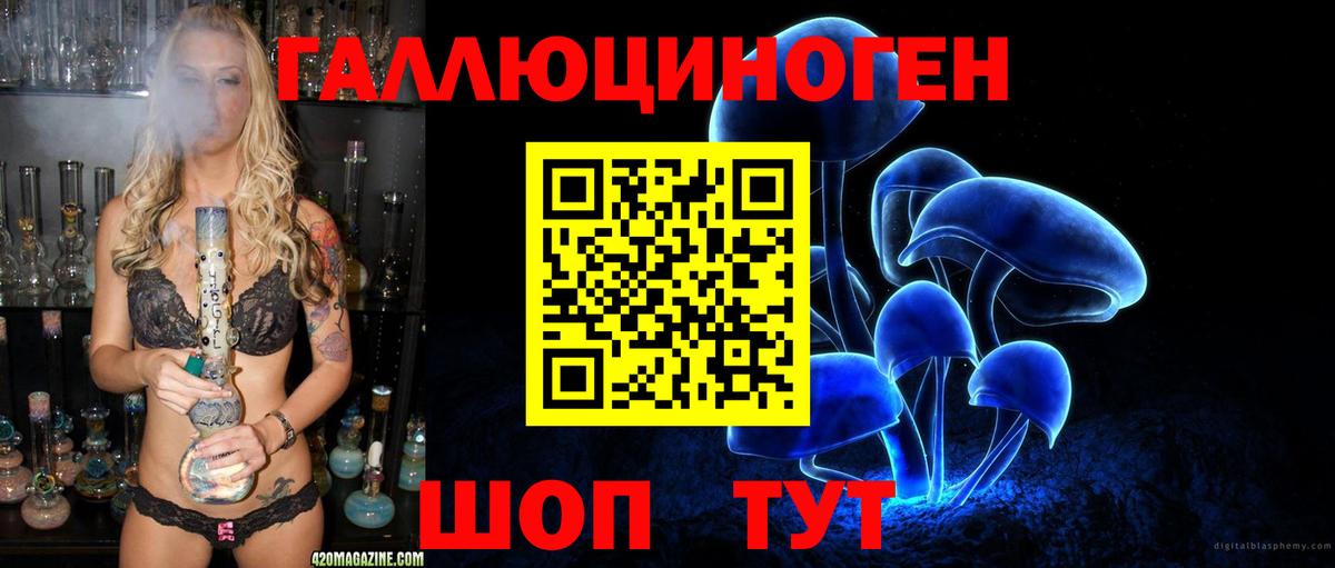 дарнет шоп  Псилоцибиновые грибы Magic Shrooms  Вход с VPN  Приморско-Ахтарск 